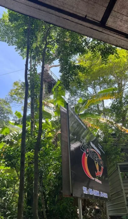 Зиплайн «Ziplinemax»