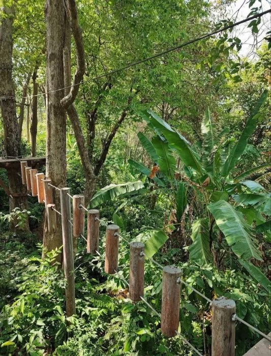 Верёвочный Парк «Tarzan Adventure Phuket»