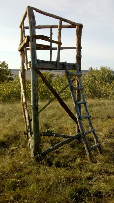 ВЕЛЕС - Клуб Охотников
