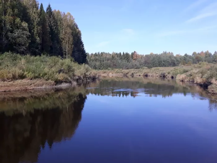 ВЕЛЕС - Клуб Охотников