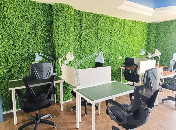 Коворкинг «Greenovation Coworking Space»