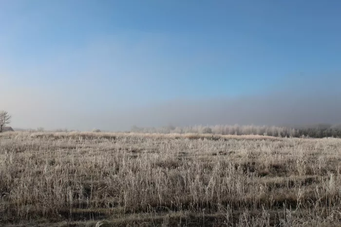 Охотничье угодье "Русский лес"