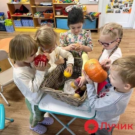Образовательный центр Лучик