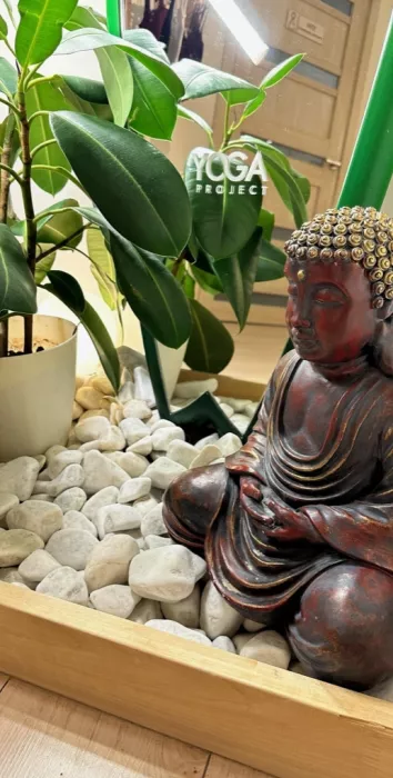 Студия йоги Yoga projeсt