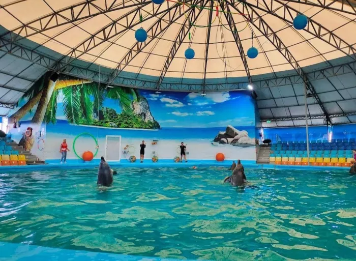 Дельфинарий «Dolphins Bay Phuket»