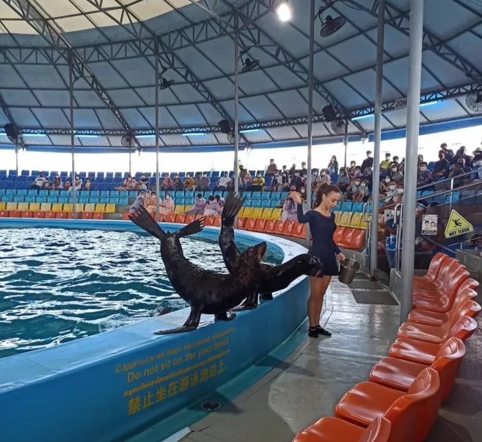 Дельфинарий «Dolphins Bay Phuket»