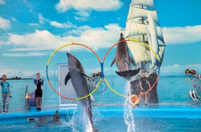 Дельфинарий «Dolphins Bay Phuket»