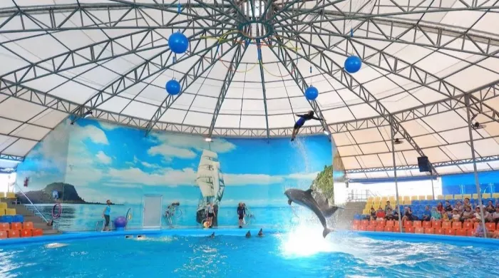 Дельфинарий «Dolphins Bay Phuket»