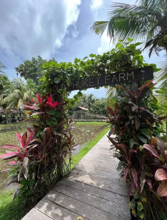 Ферма «Old Phuket»