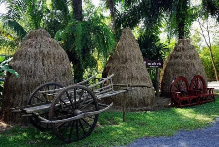 Ферма «Old Phuket»
