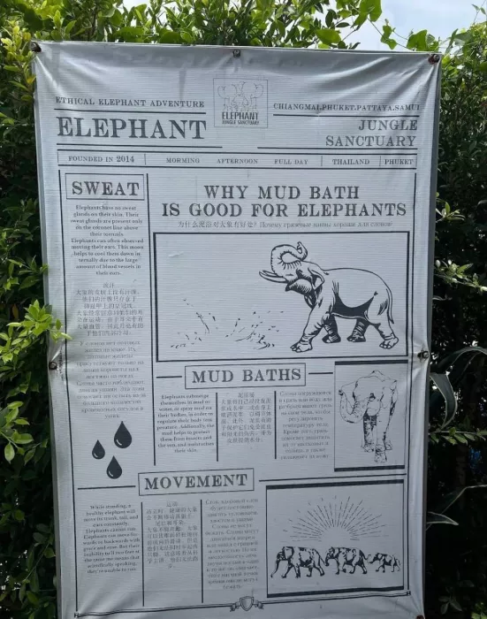 Заповедник «Elephant Jungle»