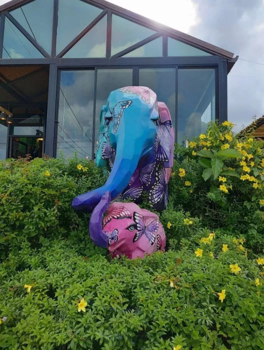 Заповедник «Elephant Jungle»