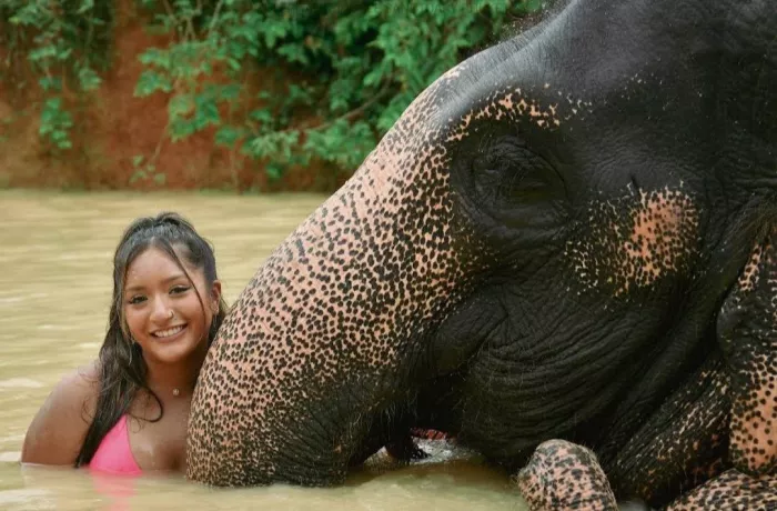Заповедник «Elephant Jungle»