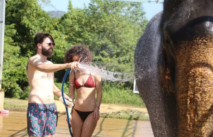Заповедник «Elephant Jungle»