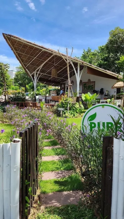 Ресторан «Pure Vegan Heaven»
