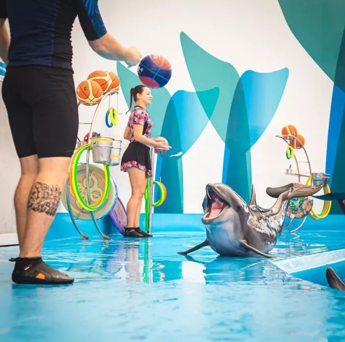 Дельфинарий «Dolphinarium Pattaya»