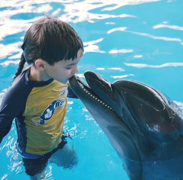 Дельфинарий «Dolphinarium Pattaya»