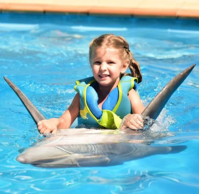 Дельфинарий «Dolphinarium Pattaya»