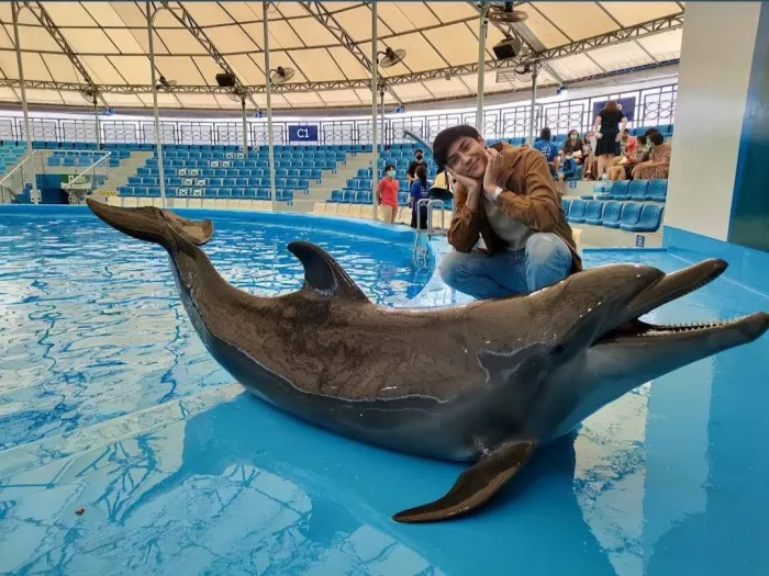 Дельфинарий «Dolphinarium Pattaya»