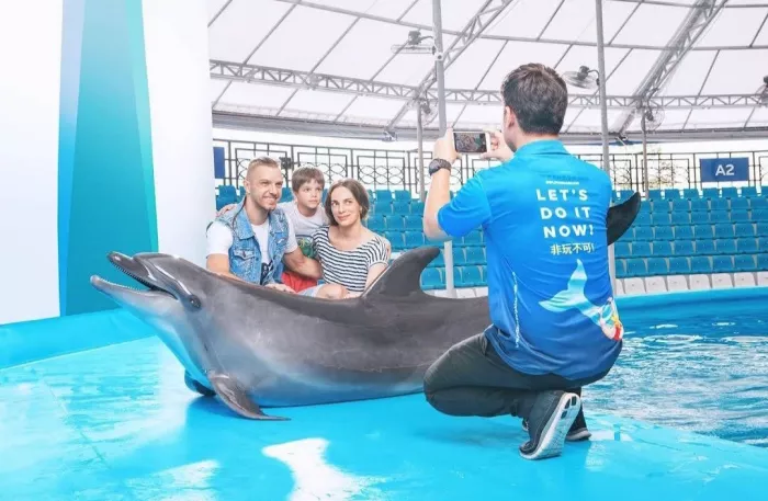 Дельфинарий «Dolphinarium Pattaya»