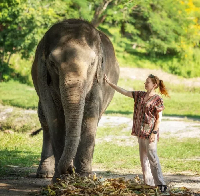 Заповедник «Elephant Jungle Pattaya»