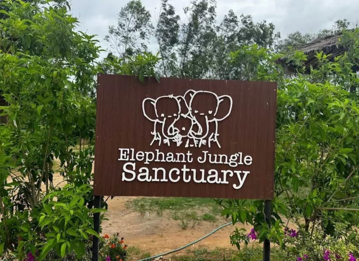 Заповедник «Elephant Jungle Pattaya»