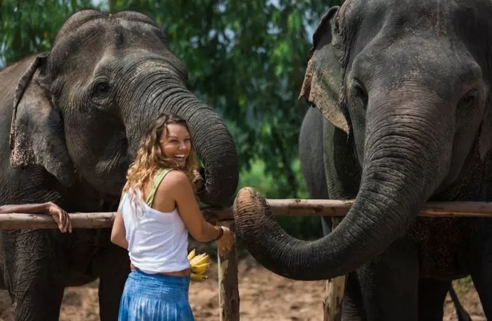 Заповедник «Elephant Jungle Pattaya»