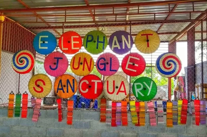 Заповедник «Elephant Jungle Pattaya»