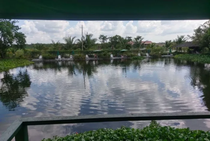 Рыболовный Пруд «Castaway Fishing Park And Restaurant»