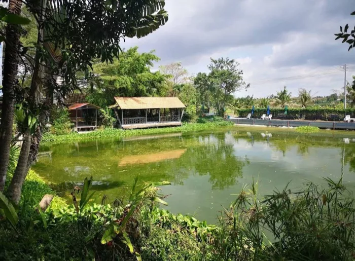 Рыболовный Пруд «Castaway Fishing Park And Restaurant»