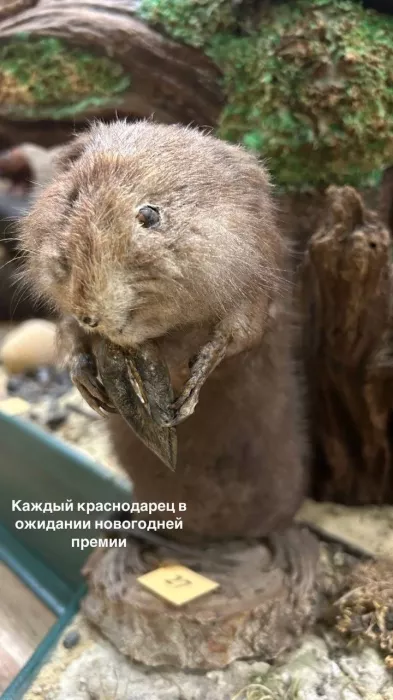 Краснодарский государственный историко-археологический музей-заповедник им. Е.Д. Фелицына