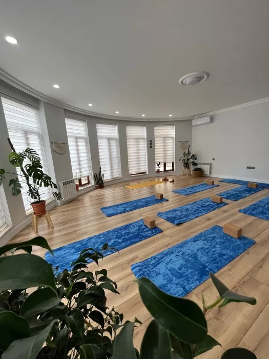 Студия йоги Yoga Vidya