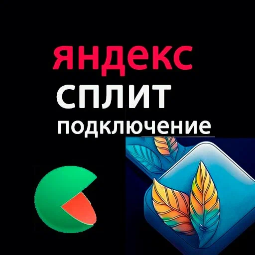 IT-студия "August digital"