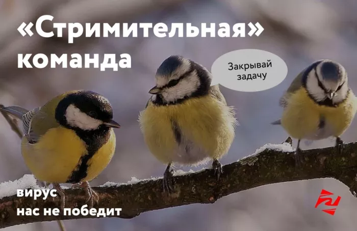 Веб-студия "Акцепт"