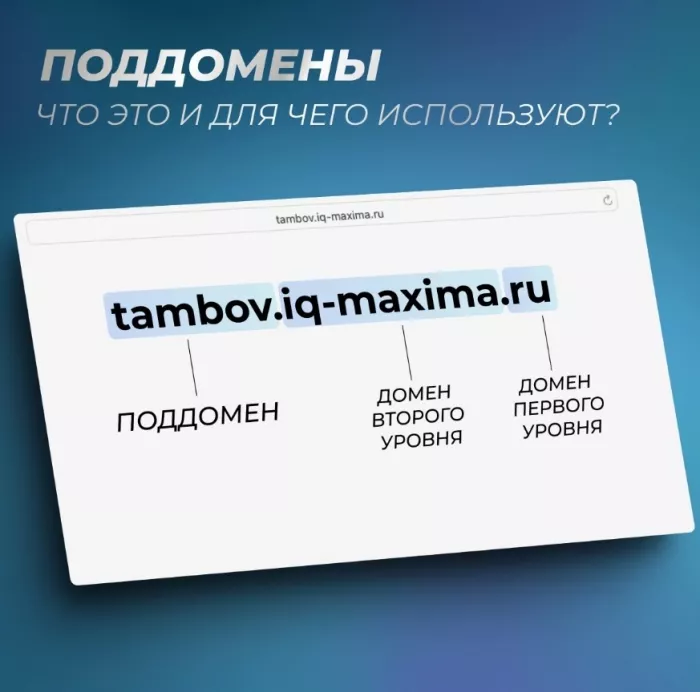 Интернет агентство "IQ MAXIMA"