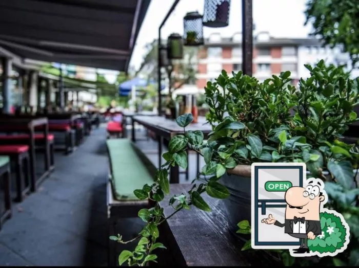 Бар Bar & Restaurant naïv