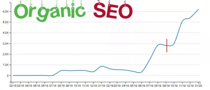 Seo-аудит "Organic Seo"