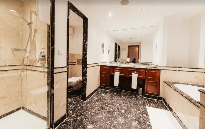 Отель Lindner Hotel Frankfurt Main Plaza