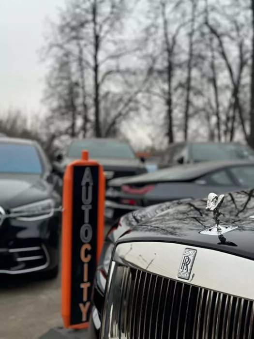 Профессиональный продавец AUTO CITY