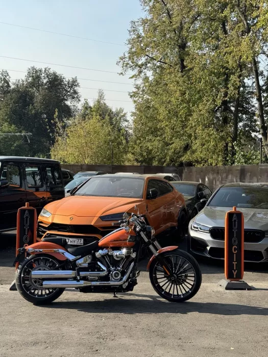 Профессиональный продавец AUTO CITY